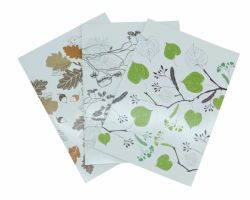 Vihko Nature A4 40 lehteä