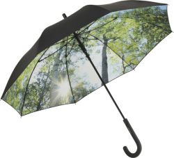 Sateenvarjo automaatti, luonto