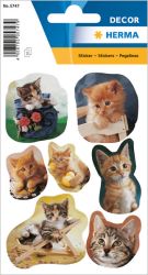 Tarra kissan pennut 3 arkkia. 7 tarraa/arkki