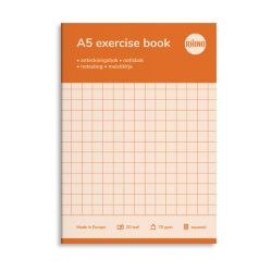 Kouluvihko A5 20 lehteä 10x10 ruudutus